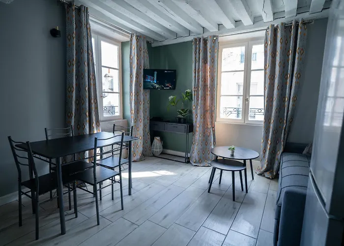 L\'Orleanais 1 - Appartement Spacieux Centre Ville